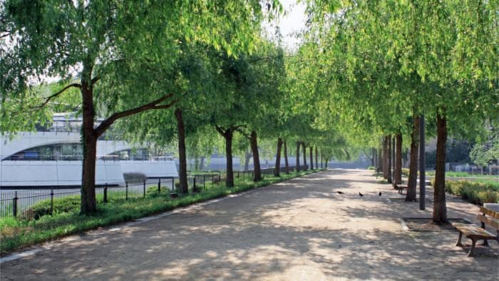 Vaise Industrie - Quartier en transformation