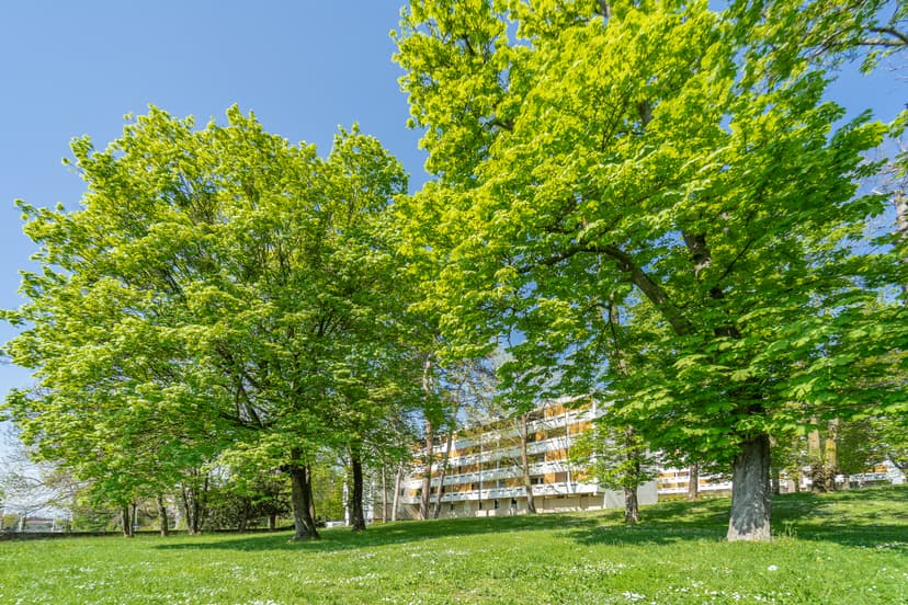 Saint Rambert le Vergoin - Parc verdoyant et résidentiel
